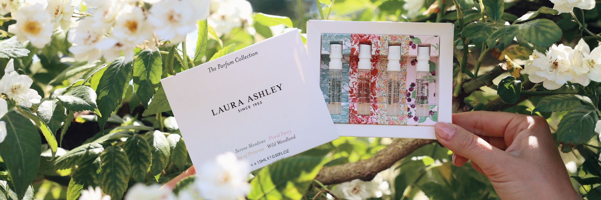 Laura Ashley discovery set image