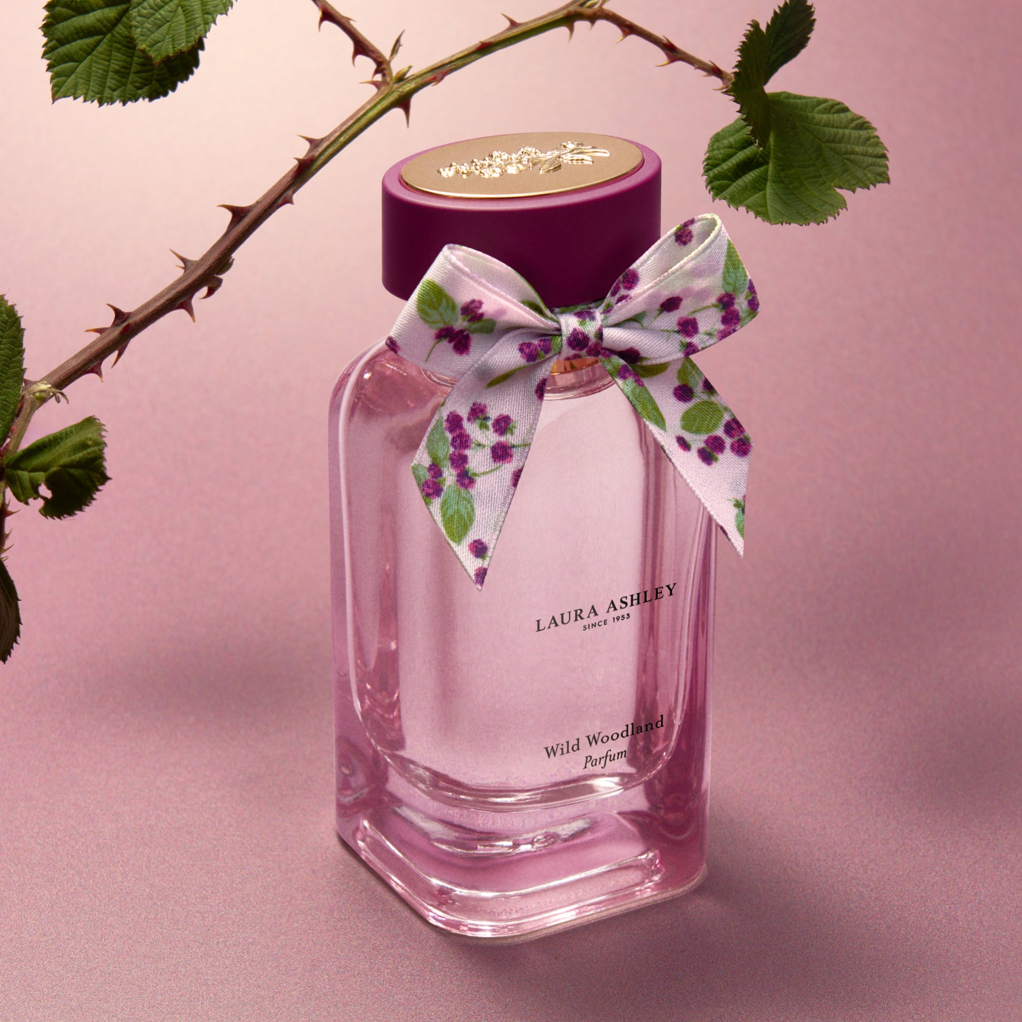 Wild Woodland fragrance by Laura Ashley parfum with floral bow